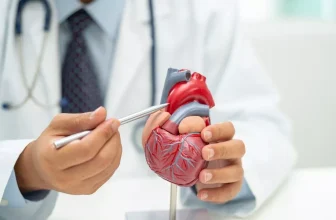 What Is the Connection Between Obesity and Cardiovascular Disease?