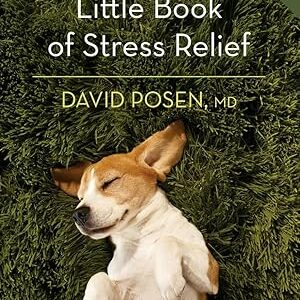 The Little Book of Stress Relief Paperback – Illustrated, September 1, 2017